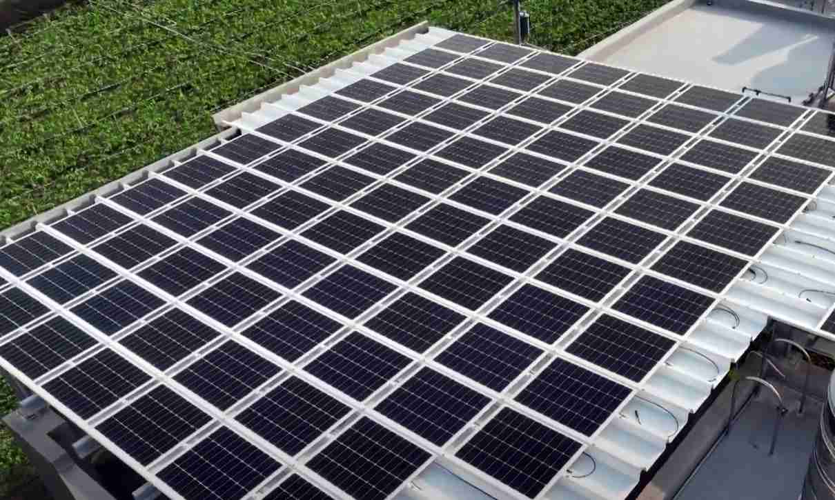 开云电子SunSteel光电浪板升级双玻结构，，，，以提升机械负载强度及气候耐候度，，，可广泛运用于多元场域